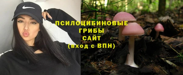стафф Беломорск
