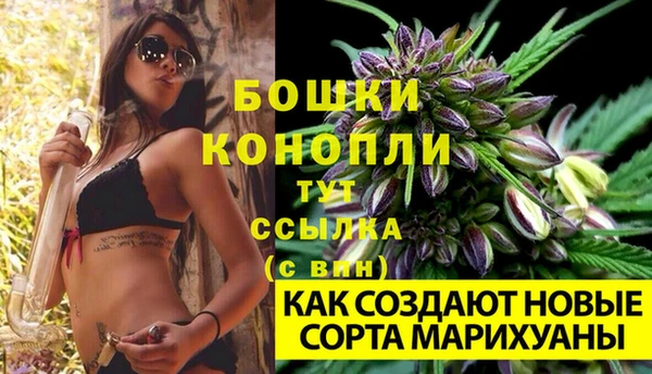 стафф Беломорск